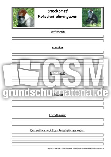 Rotscheitelmangaben-Steckbriefvorlage.pdf
